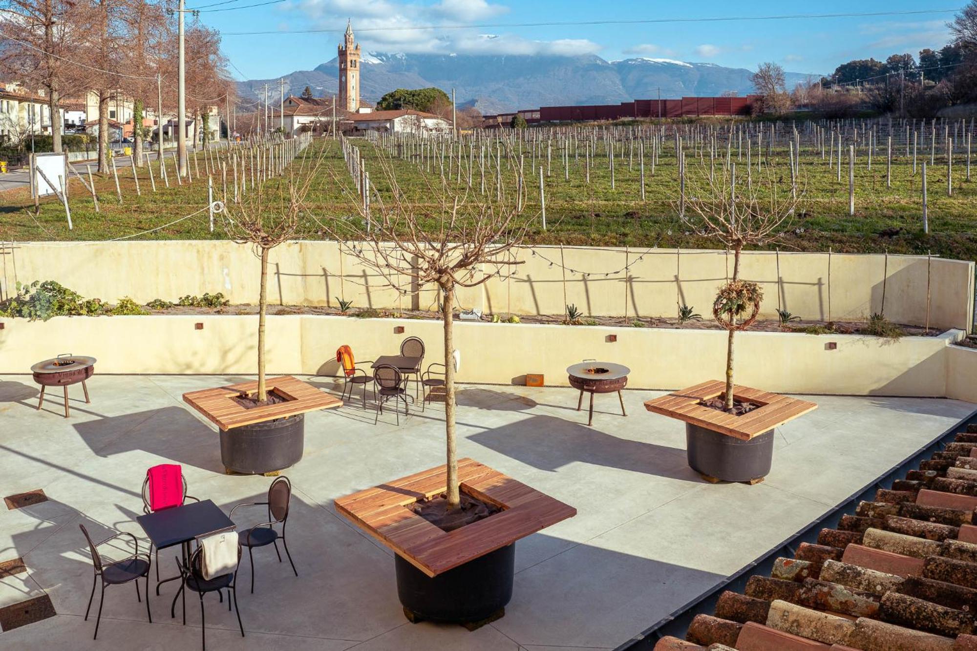 Agriturismo La Vigna Di Sarah Vittorio Veneto Eksteriør billede