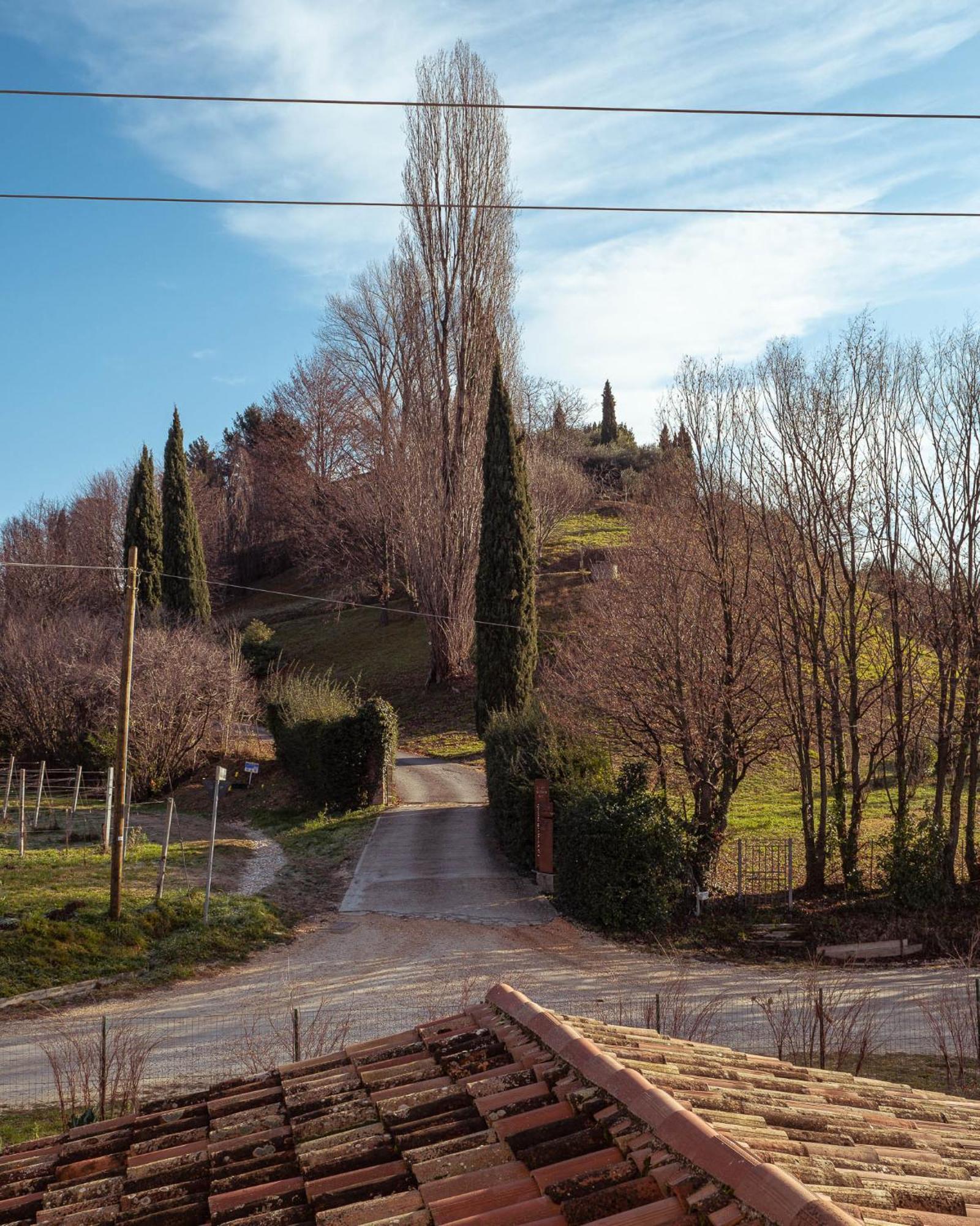 Agriturismo La Vigna Di Sarah Vittorio Veneto Eksteriør billede